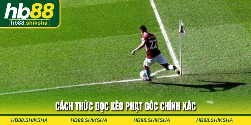 Cách thức đọc kèo phạt góc chính xác